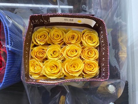 image_F4C17C9D-3E48-467B-BFA2-EBE5B222E6F3_1761198708