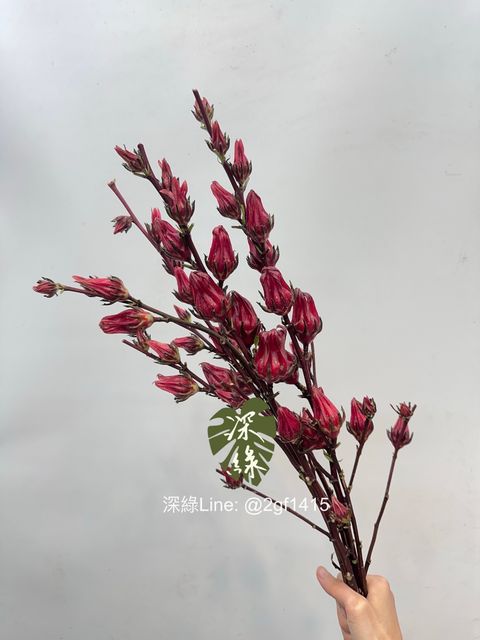 image_A6589448-5AAE-442C-B329-C8C266665A9B_1761444351