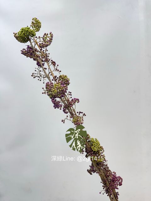 image_41F6A4DD-16DE-4CC7-B1B9-ED8F4C72F1F2_1761444631