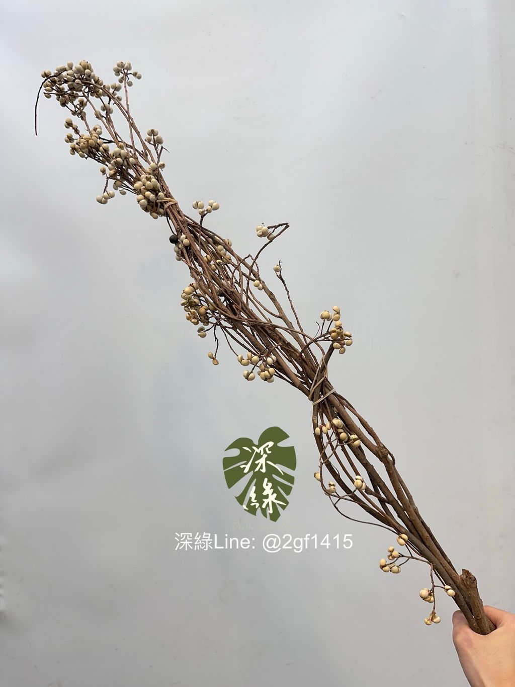 image_85E95CB2-DA23-4D40-8B88-571F26F2DF7C_1761444666