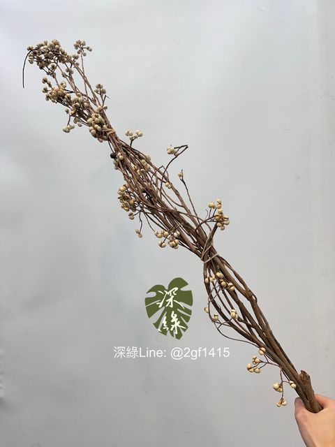 image_85E95CB2-DA23-4D40-8B88-571F26F2DF7C_1761444666