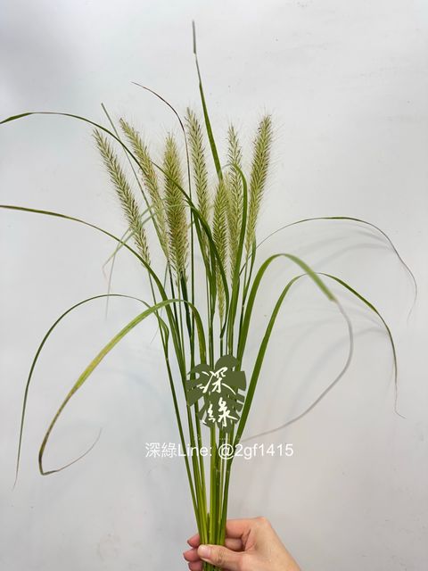 image_77BA6010-4A12-4446-9C4B-EF2E3016DF6C_1761444740