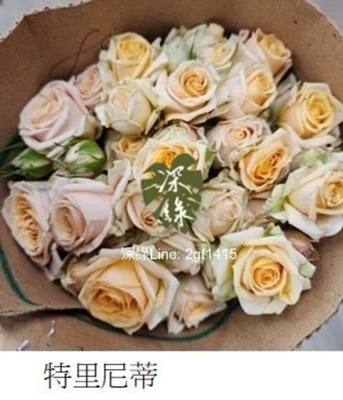 image_066A692B-7BD4-4496-B3DC-A738957742CD_1761445736