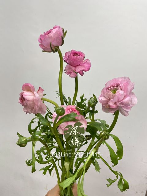 eZy Watermark_14-10-2024_12-33-09-9550下午-1728880568651