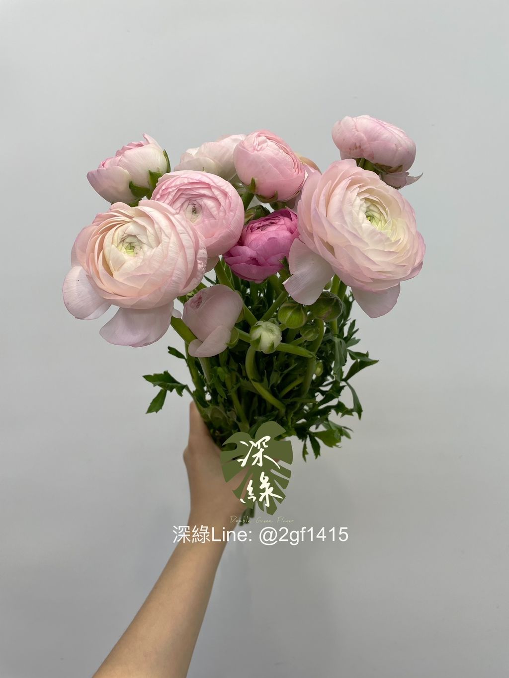 IMG_7442-1715669841685