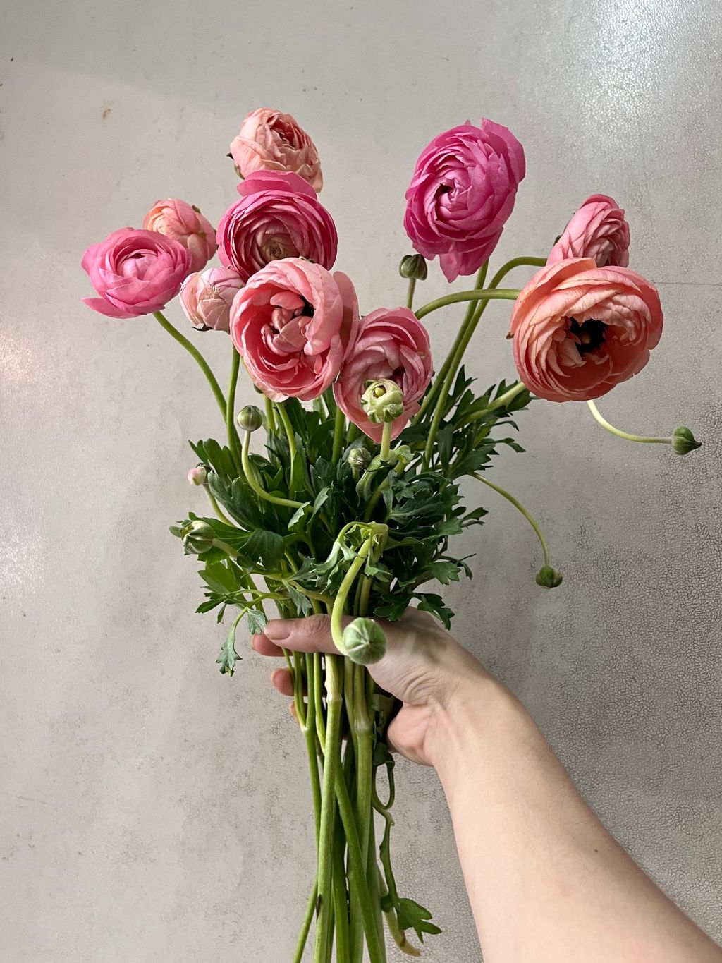 image_8D49ED41-6446-4F39-BB07-80F24EB50D19_1746771314