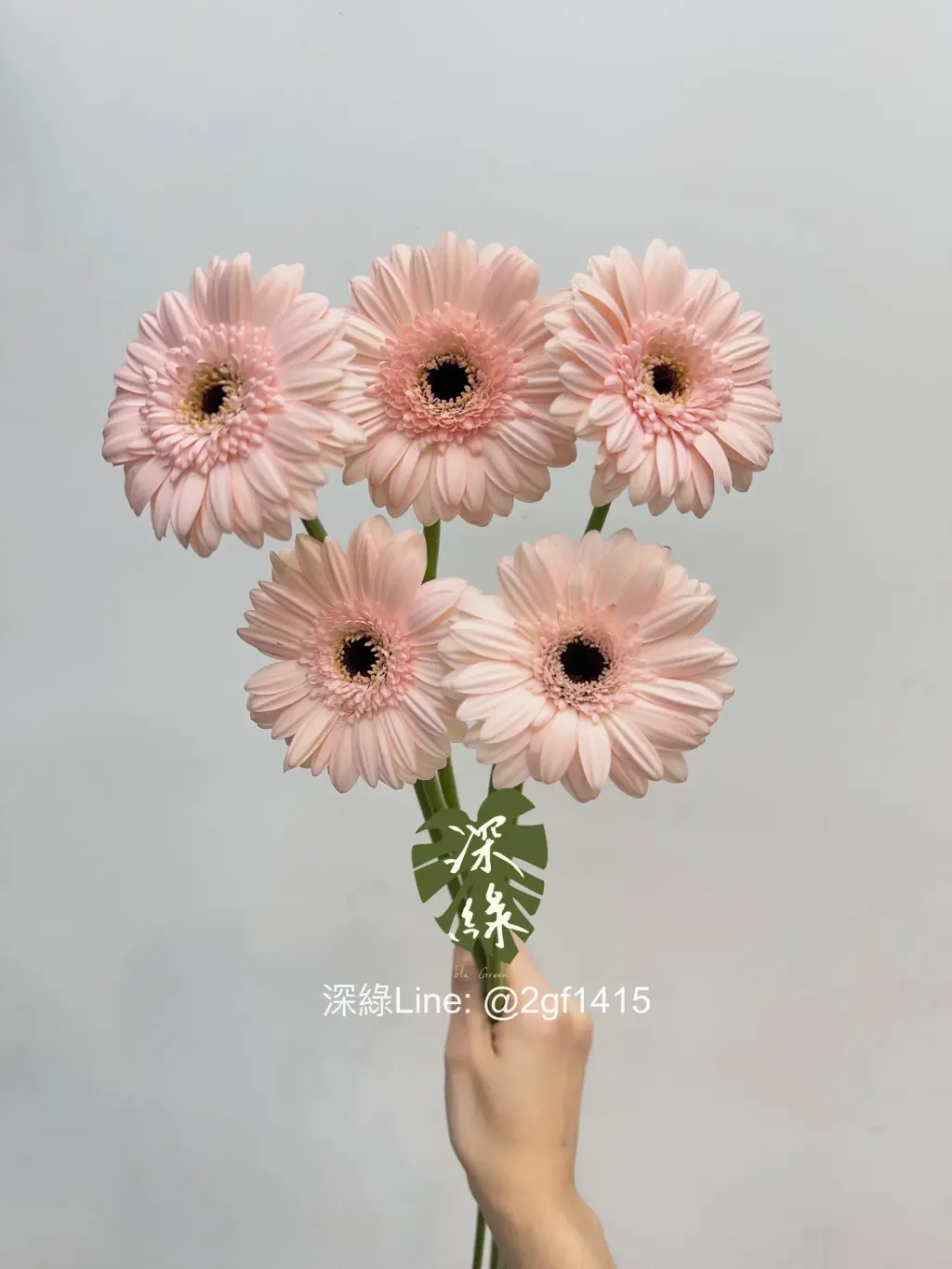 image_71568AB3-CA57-45C4-8012-3DAB26B8DECF_1760934415