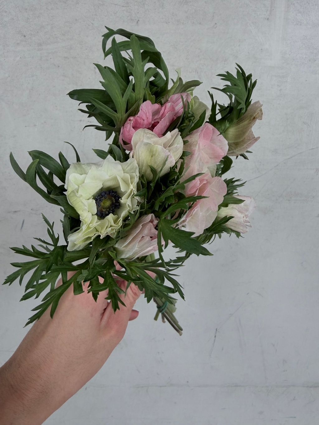 image_C2648737-7C97-464D-9533-88CA78E22F35_1761461050