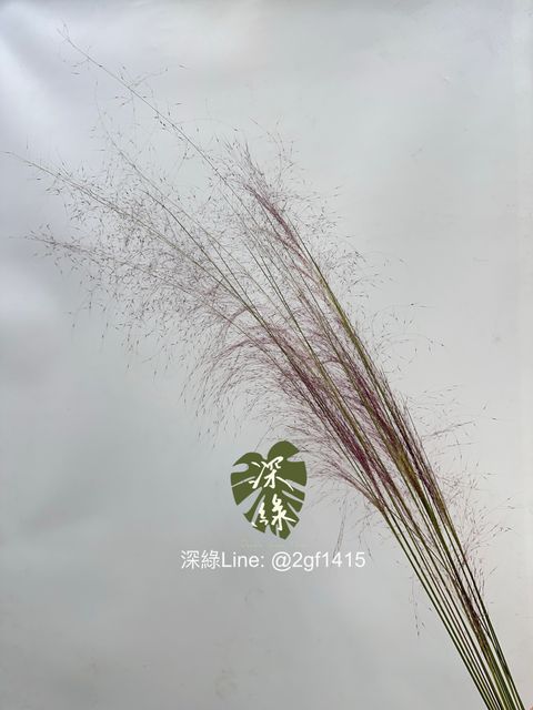 image_A35B4B91-57E8-40B3-BA69-53317F921C07_1761444698