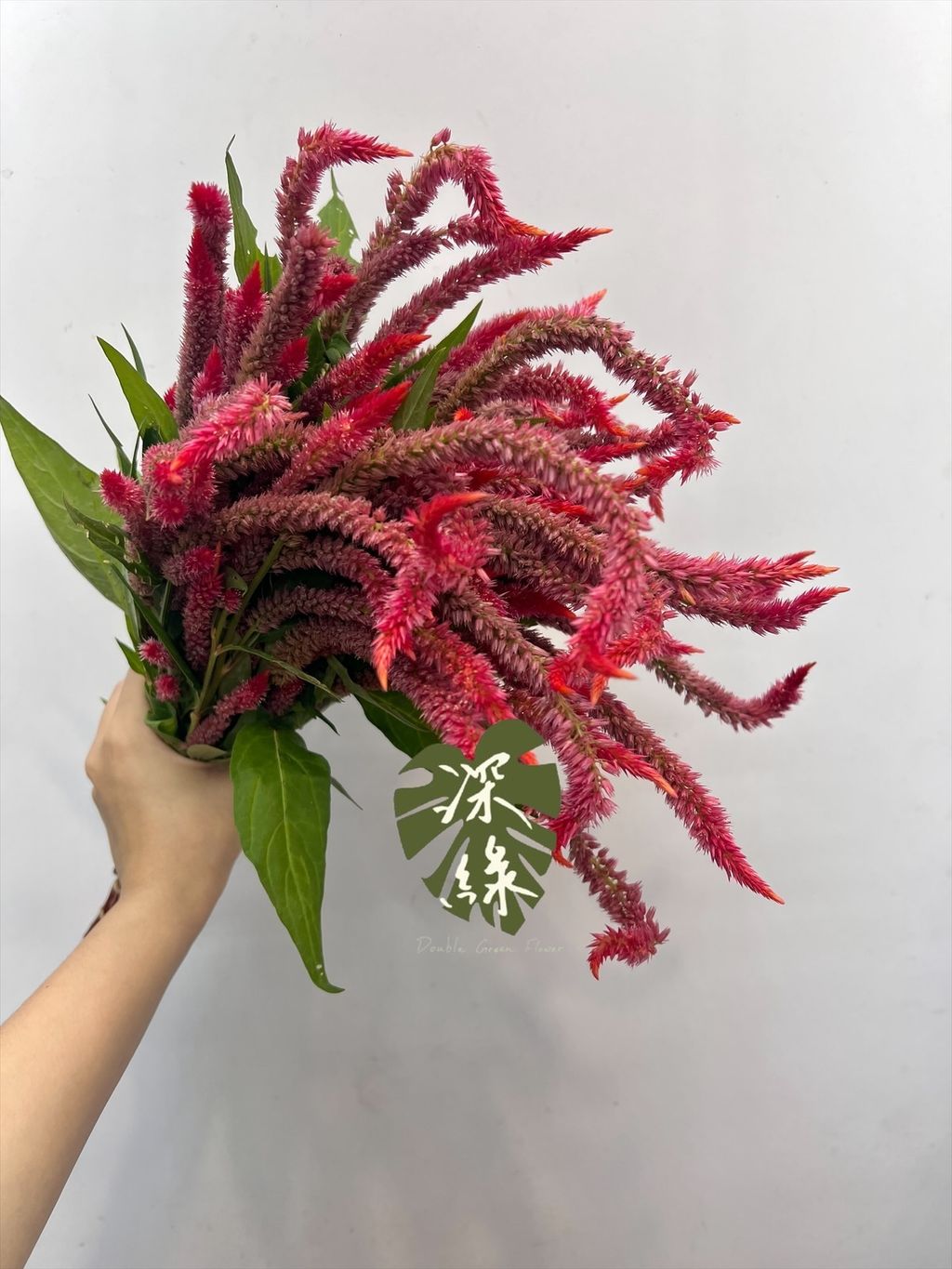 image_50B1B475-233E-4BBC-8D68-7C17B759AFC1_1761189857