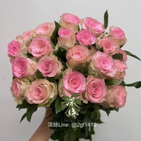 image_BA30C0B7-CD7D-45EE-A0C0-4201A2FEDEE7_1753675093