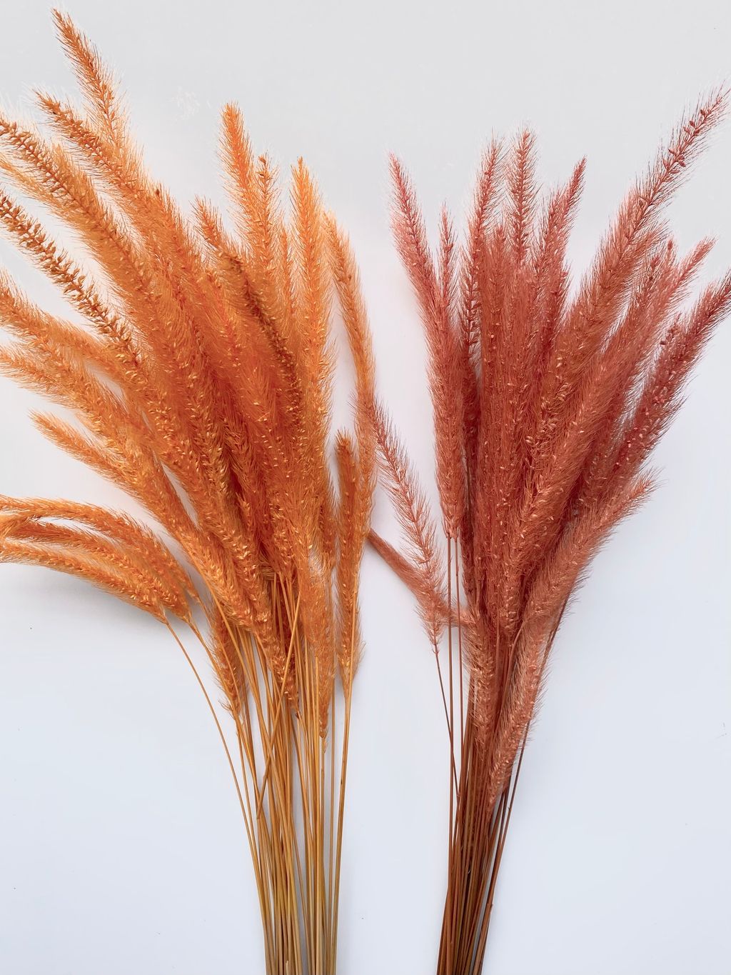 image_EB4EDBA7-A6AD-4884-834F-165A1C9B5D0B_1761551603