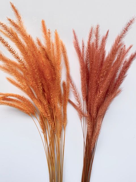 image_EB4EDBA7-A6AD-4884-834F-165A1C9B5D0B_1761551603