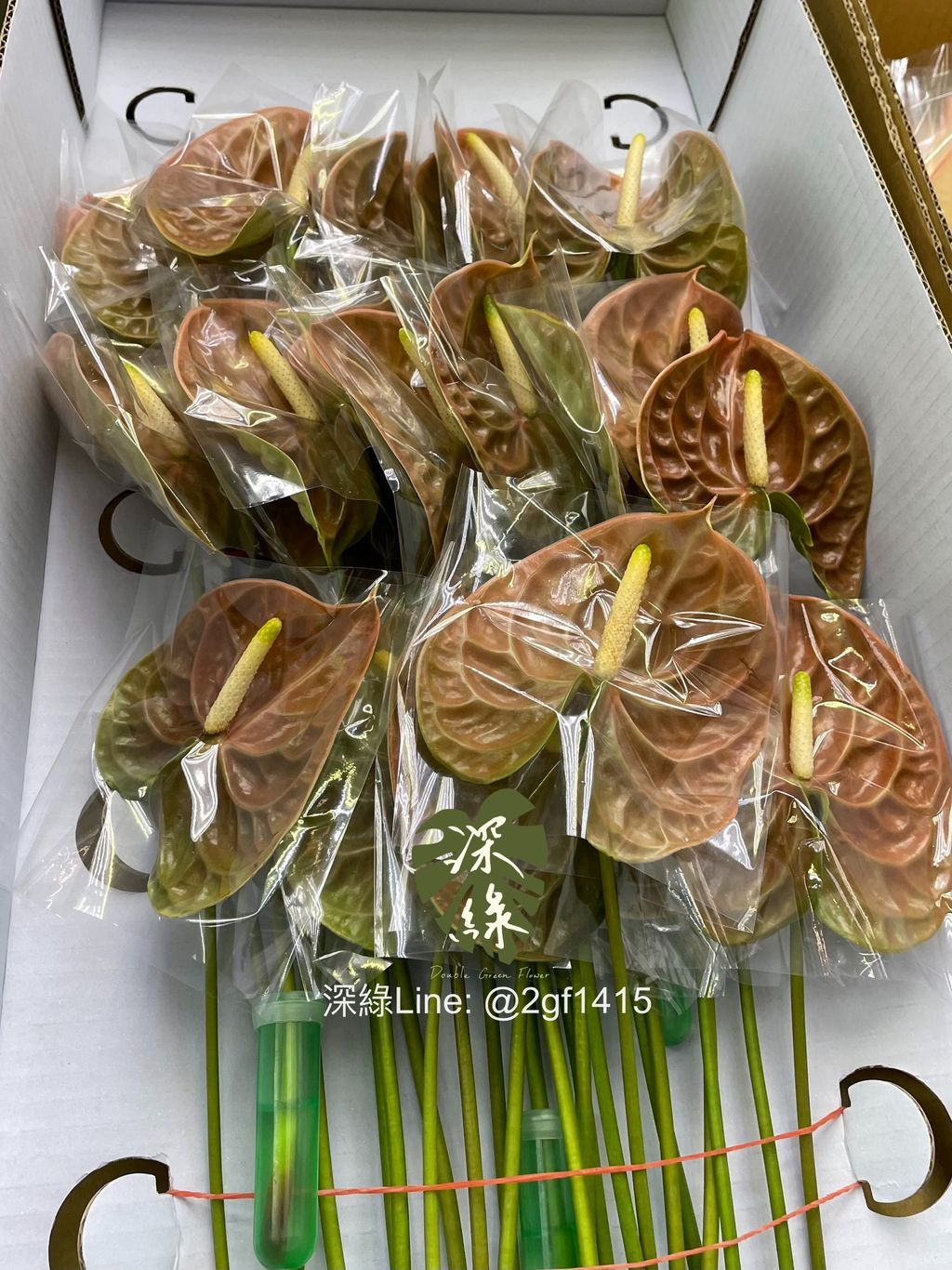 image_ECF030DD-F78D-48F8-9AC0-F3413E43582C_1761624811