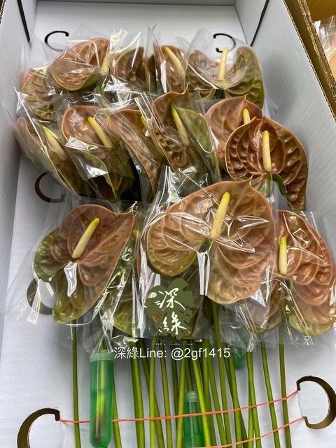 image_ECF030DD-F78D-48F8-9AC0-F3413E43582C_1761624811