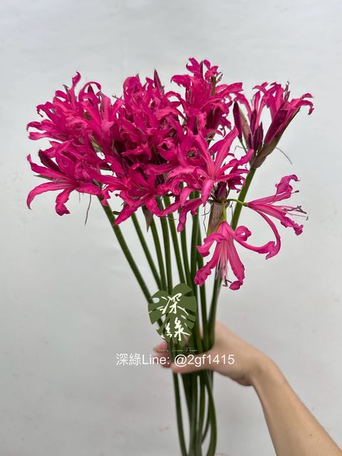 image_463505D8-3898-42F4-ACE5-7096EF44E3AF_1761626773