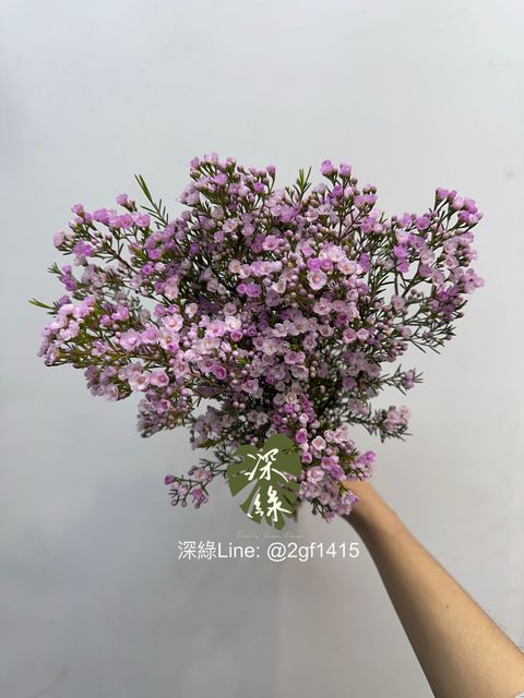 image_B66D77CC-F8E9-414F-90FB-42AABE13FFD2_1761627170