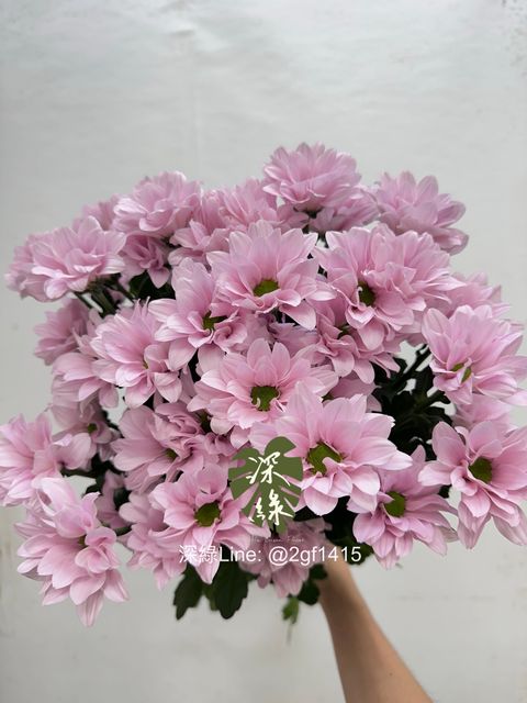 image_1758A3A2-7BA7-499B-A0D8-03C351F2192E_1761627233