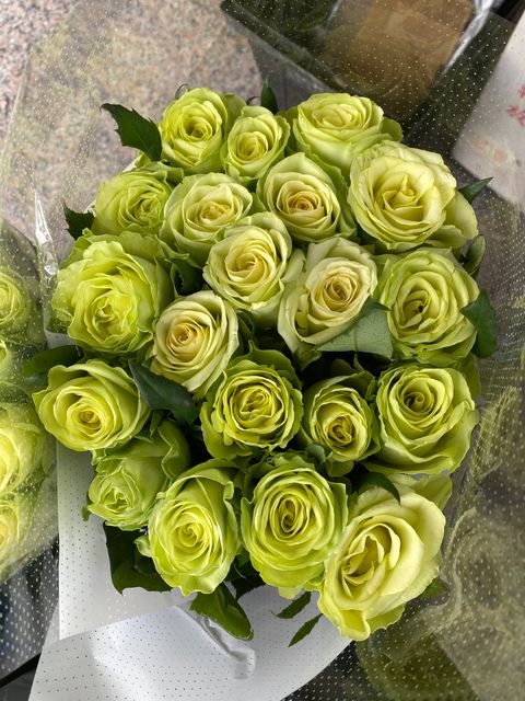 image_504F28D0-190B-4040-BA1B-157D5218E164_1761637741