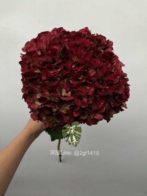 image_48F048B1-9ECF-460B-88C1-715E38D42CE4_1761638041