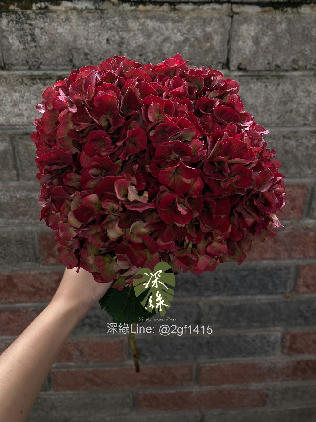 image_AE22B426-C778-47F3-8423-0BD36E6A1E46_1761638042