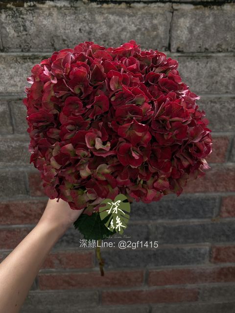 image_AE22B426-C778-47F3-8423-0BD36E6A1E46_1761638042