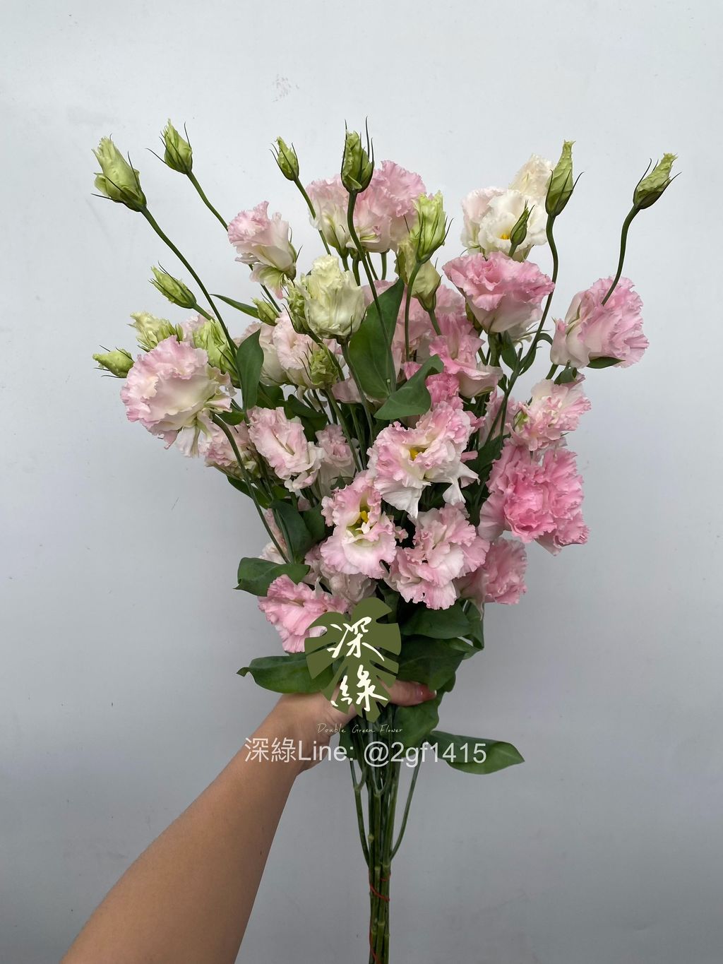 image_A383403A-355E-4E1C-A321-686834EBF844_1761638095