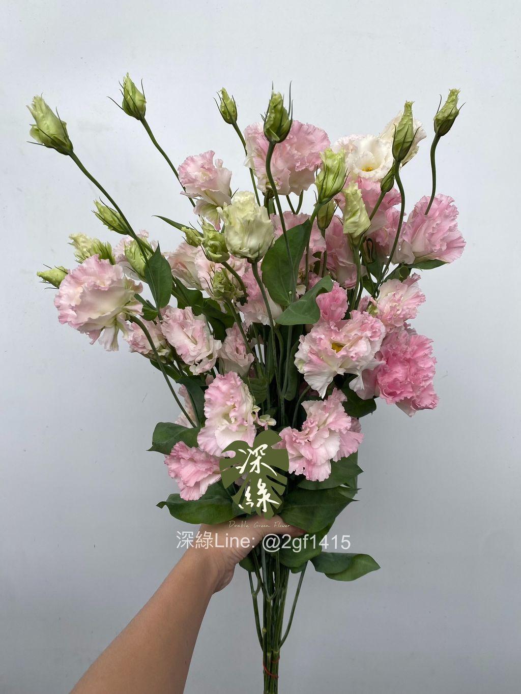 image_063CE120-1D07-4097-BB08-3D7B0C49FCC7_1761638132