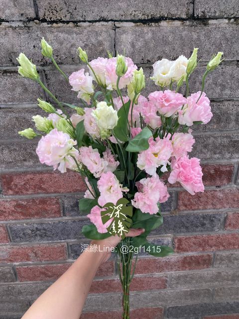 image_3539B2A6-705F-4D01-BCCE-CAE4D26D0E61_1761638132