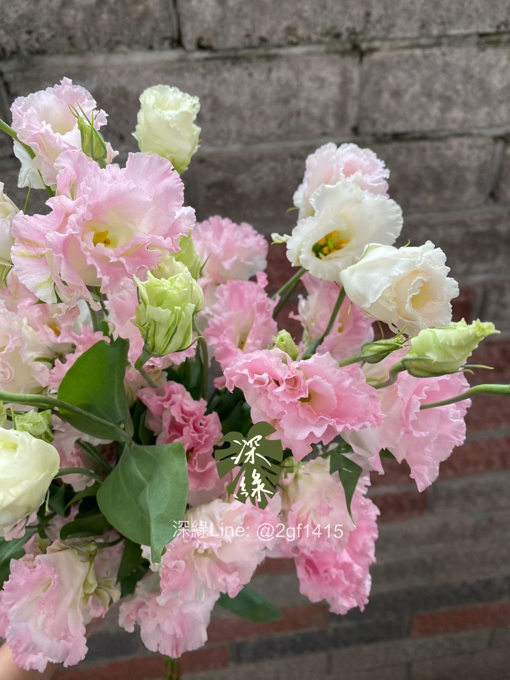 image_06A16D9D-DC18-4653-8355-EA5C2802B8E4_1761638132