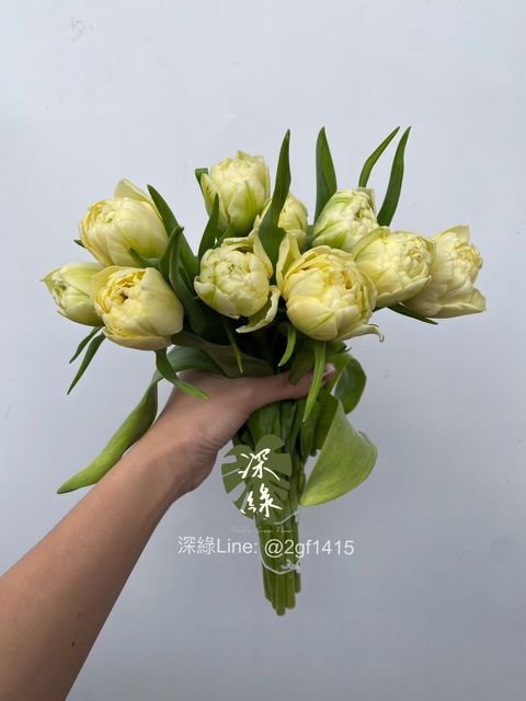 image_C29A2BCB-6753-4951-A6B5-3040E55403B6_1761638235