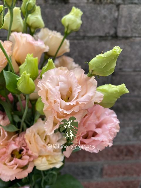 image_52379BA0-C8CE-4D63-A84A-59EA6D94E0D8_1761638286