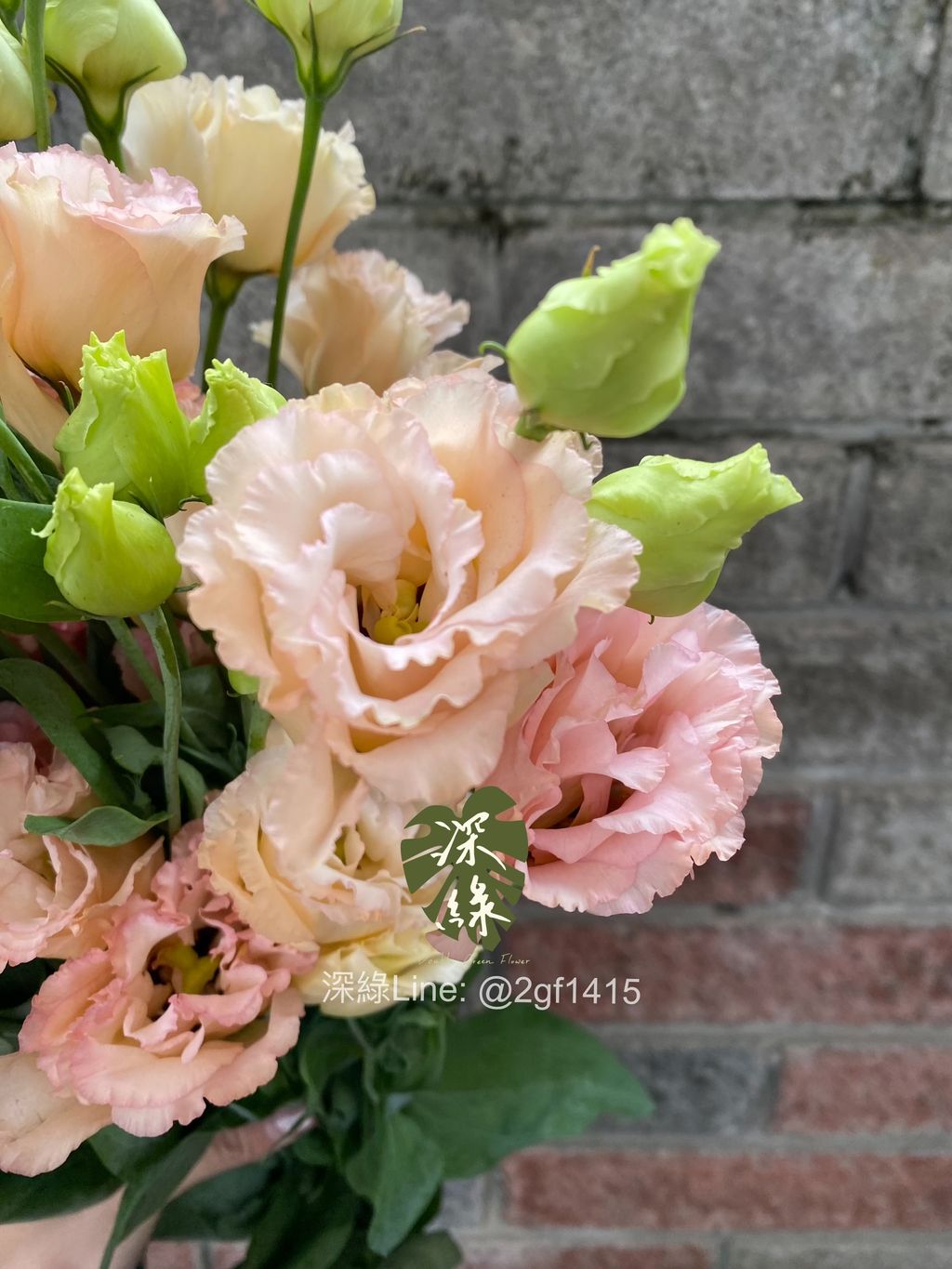 image_49FD3B42-5640-4F0C-BEFC-415B838DDF7B_1761638330