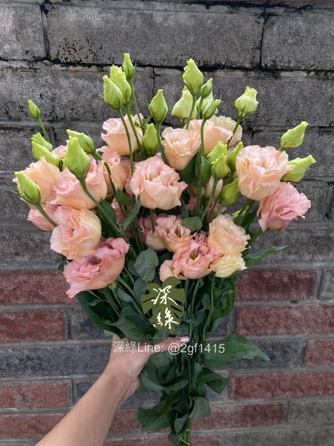 image_B1DFC6BB-F7B1-4092-BC50-2FA68AAAE0BB_1761638330