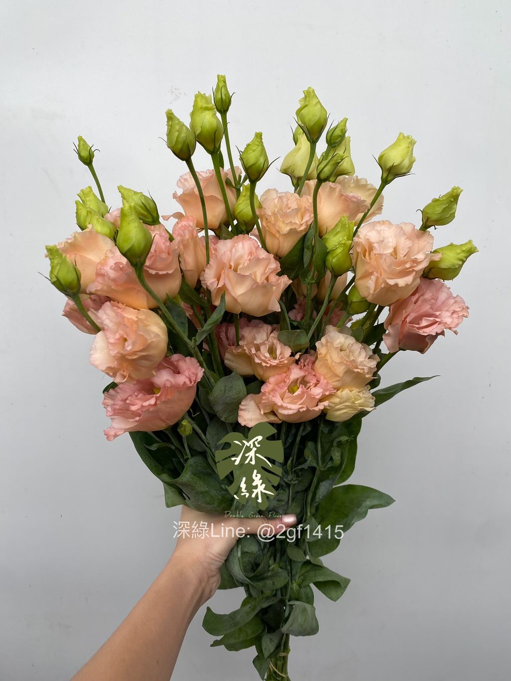 image_CCCD9711-92D5-4750-A6C6-E45E7FF2F7A8_1761638330