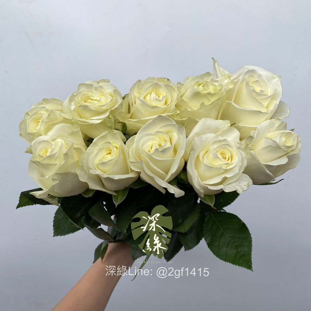 image_487715D1-B7E1-4407-9F2C-424980218710_1761638435