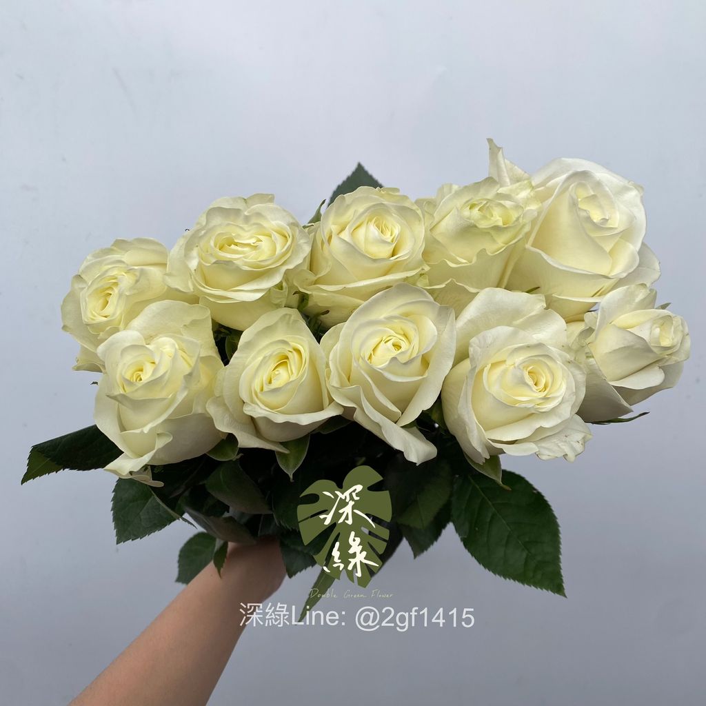 image_CCC43E37-BC97-418F-A5FB-092CA17DB6B2_1761638463