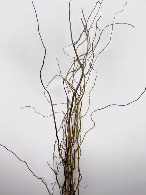 image_1A1CE975-F47D-4A34-8F8C-34002DEE049D_1761639038