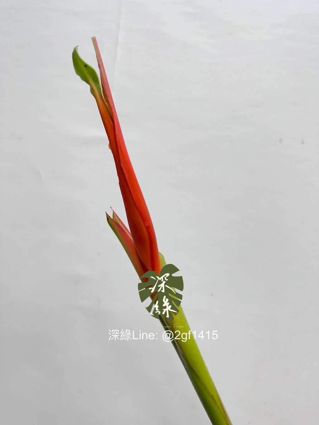 image_EF687BB5-A5F0-45EC-B808-DAA765AE79B1_1761706167