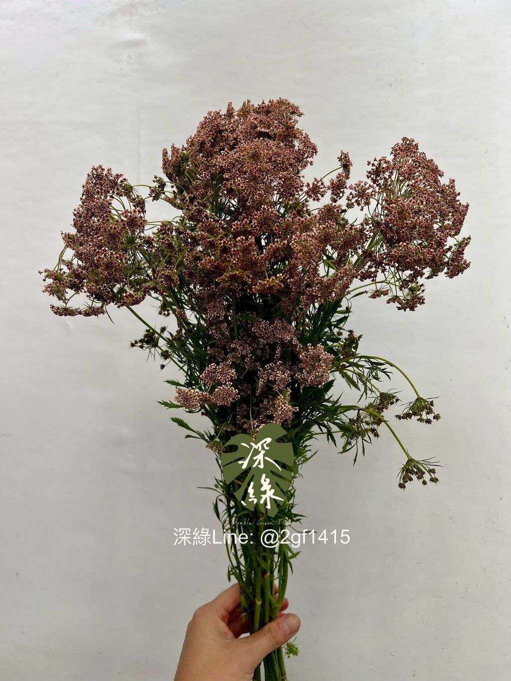 image_2C7E2CBF-E651-4318-9AF0-6CB3A98B82C4_1761706470