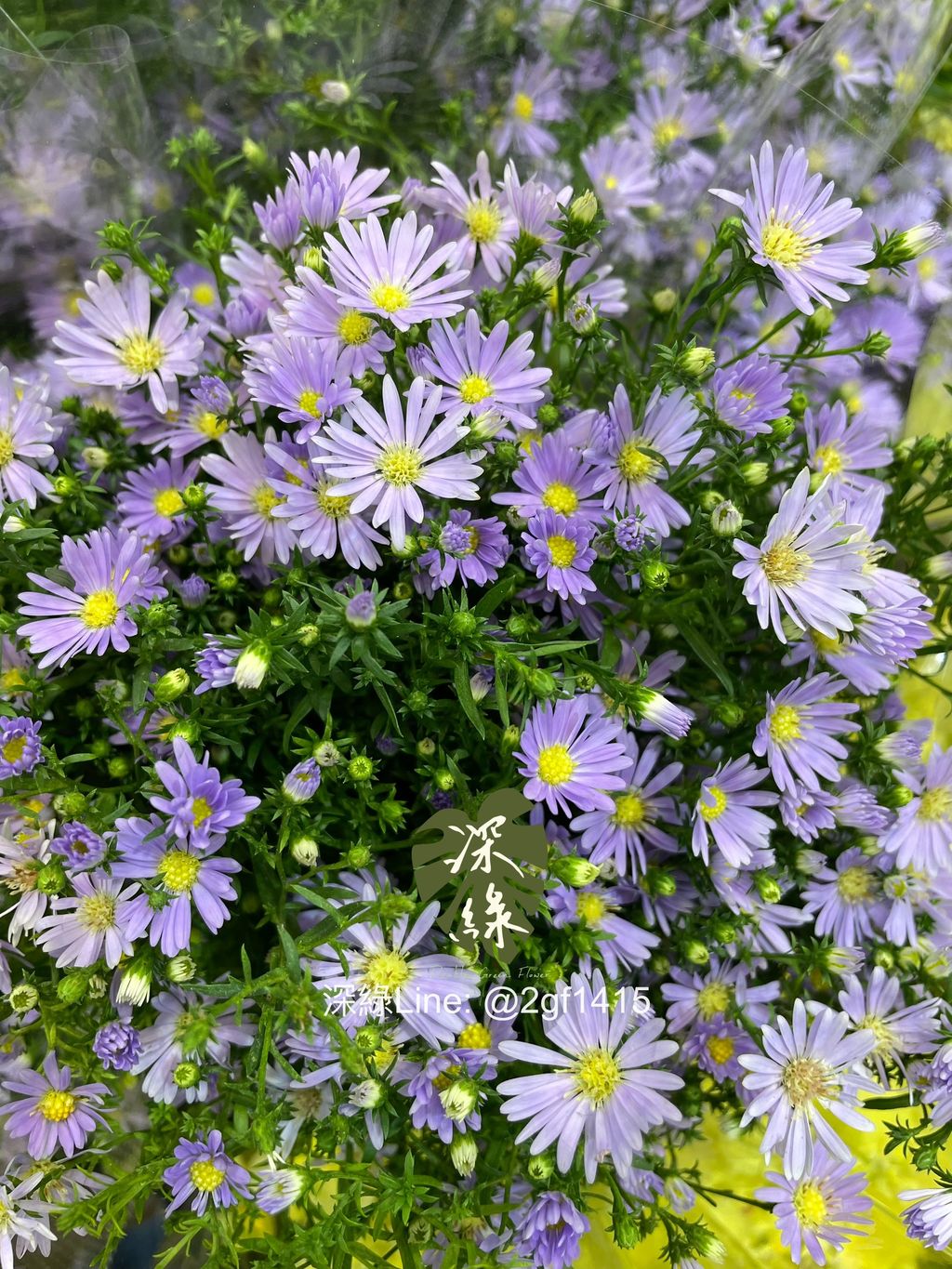 image_8A3A5D7E-1C0A-44E4-A1B9-B016FA58F0B7_1761708369