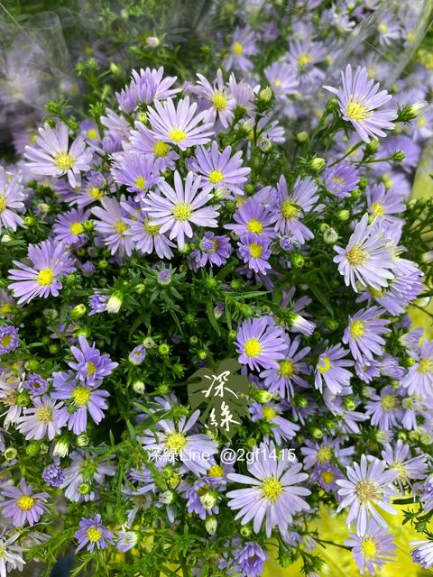 image_8A3A5D7E-1C0A-44E4-A1B9-B016FA58F0B7_1761708369