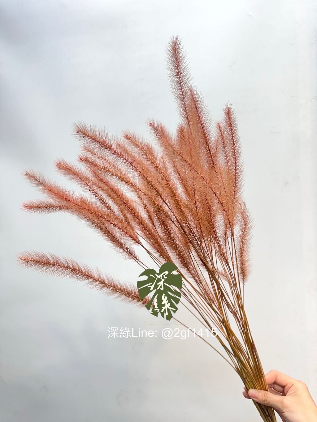 image_6CE4E65A-AD3B-49FF-9235-9C6CD41D08F1_1761716580