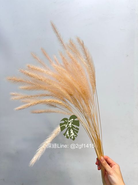 image_320368AE-DD75-476B-8398-00964361CA8C_1761716596