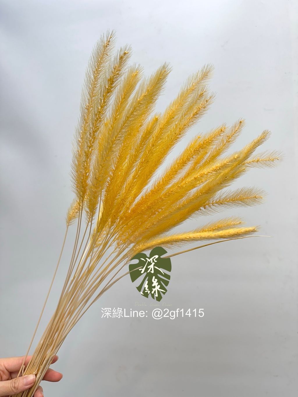 image_BA3942A7-4A42-42DC-8B1E-F4A21B6260B0_1761716617