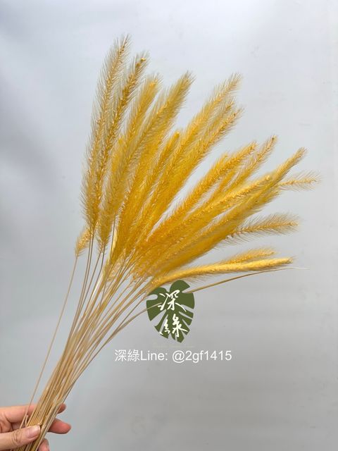 image_BA3942A7-4A42-42DC-8B1E-F4A21B6260B0_1761716617