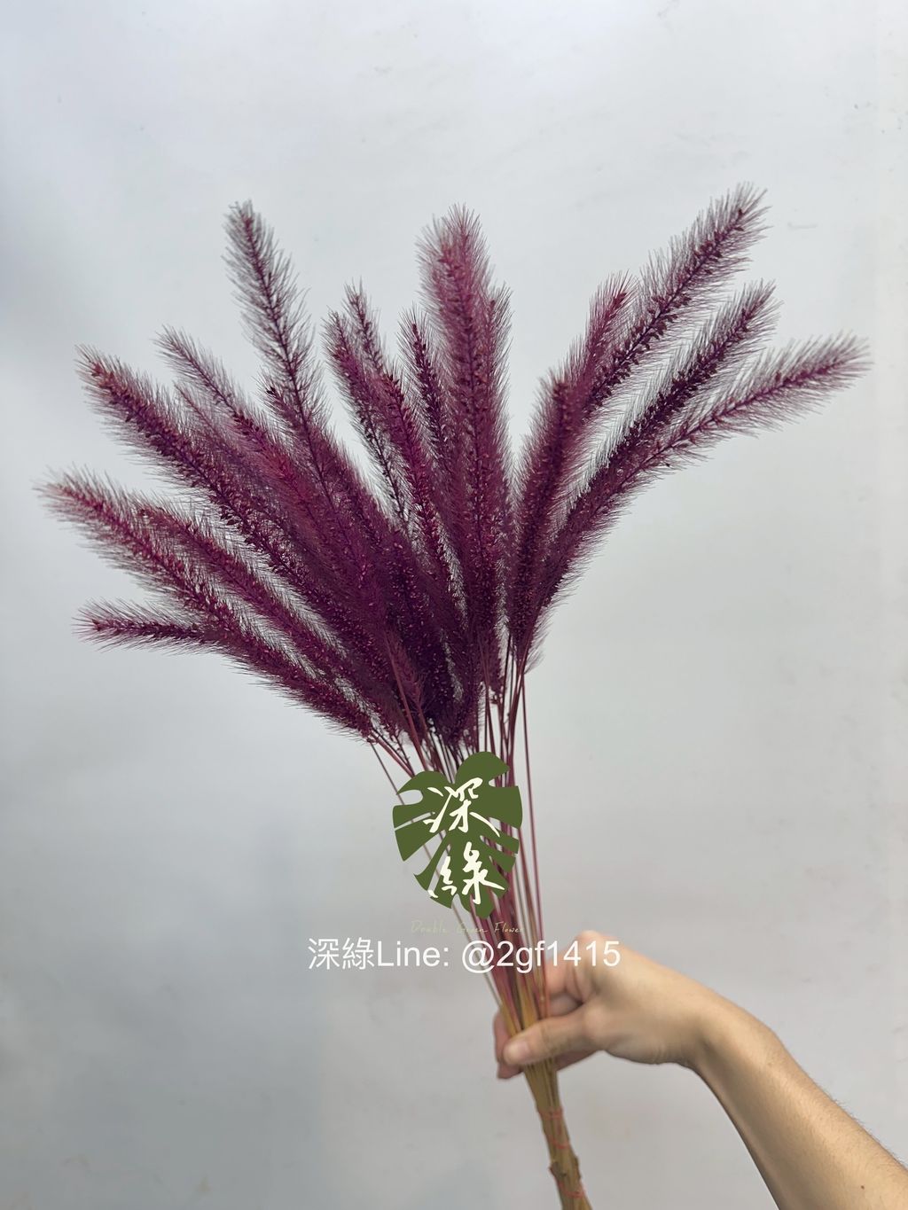 image_E0B6629E-7077-40A0-B3FF-5B67529DEE05_1761716635