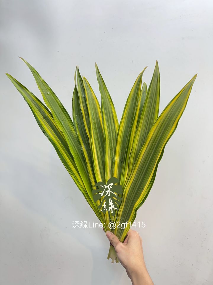 image_0D20353D-2650-4081-93E8-F314DC4B8E20_1761716806