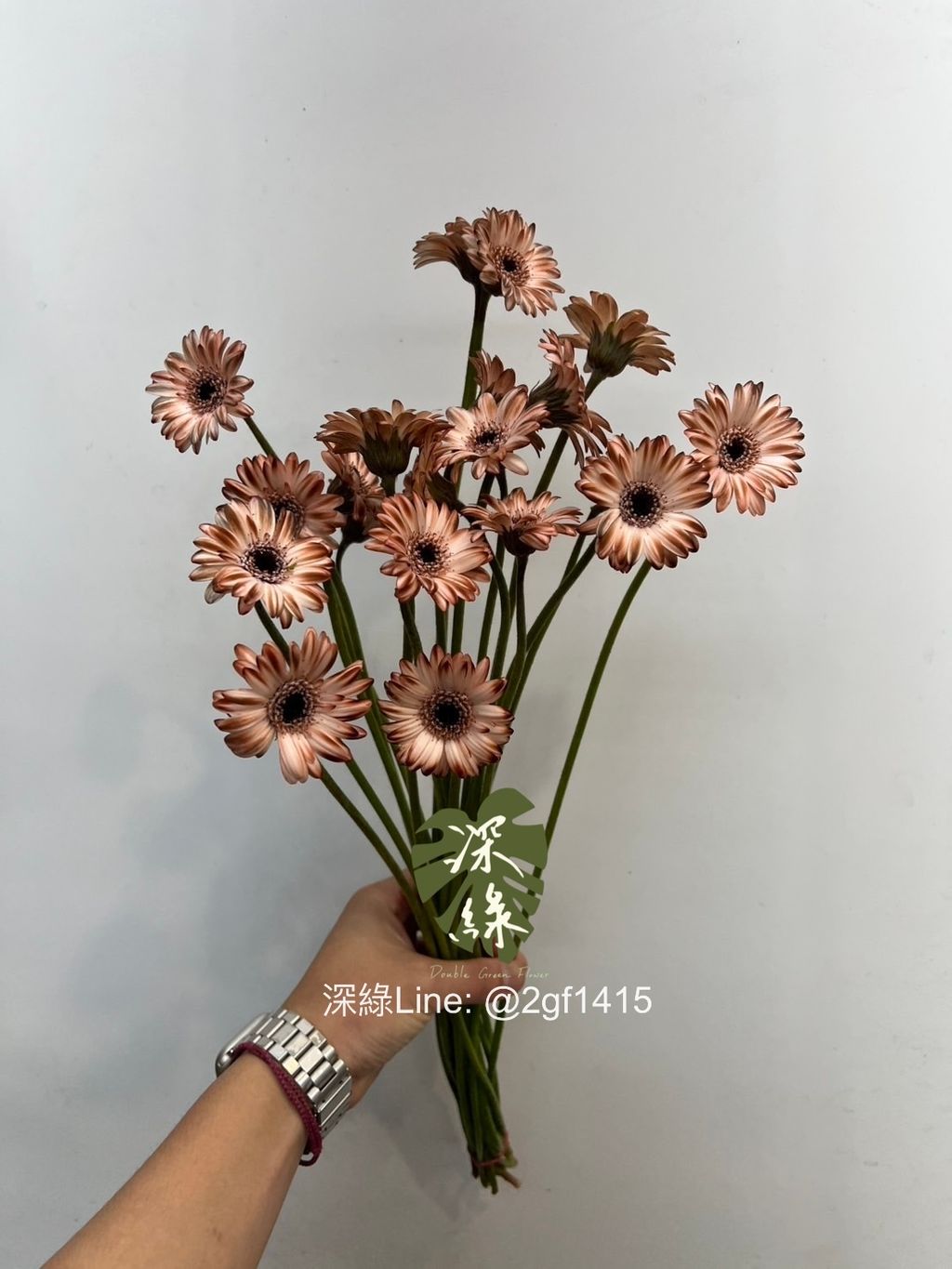 image_3FEDF99A-1BE0-46DB-ACB3-28FC435E156E_1761791843