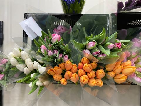 image_7B3C8DB0-74A9-4FBA-B9F9-07EEF4FD6E33_1761801205